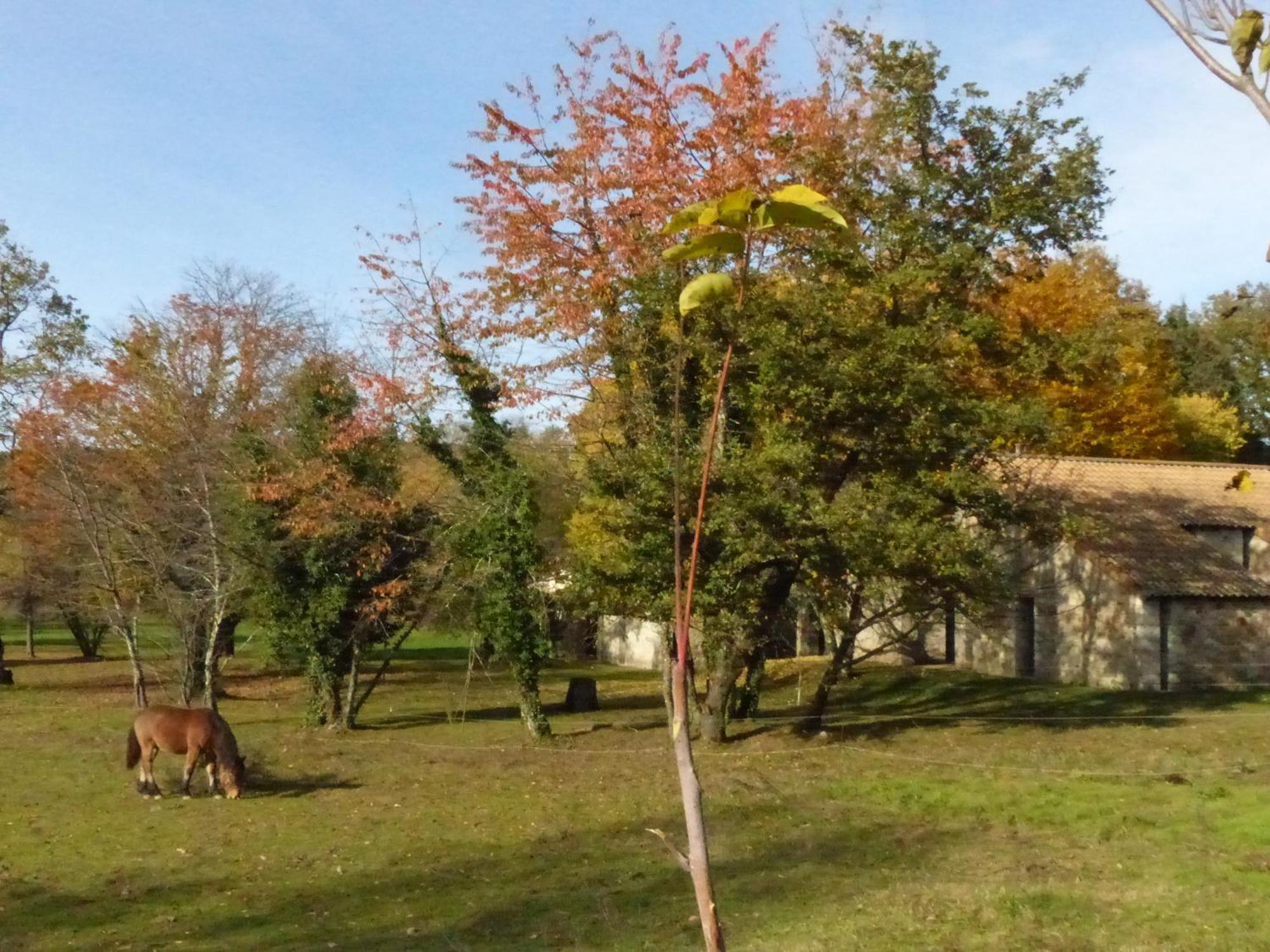 Terres De France - Le Domaine Des Vans Chambonas Екстер'єр фото
