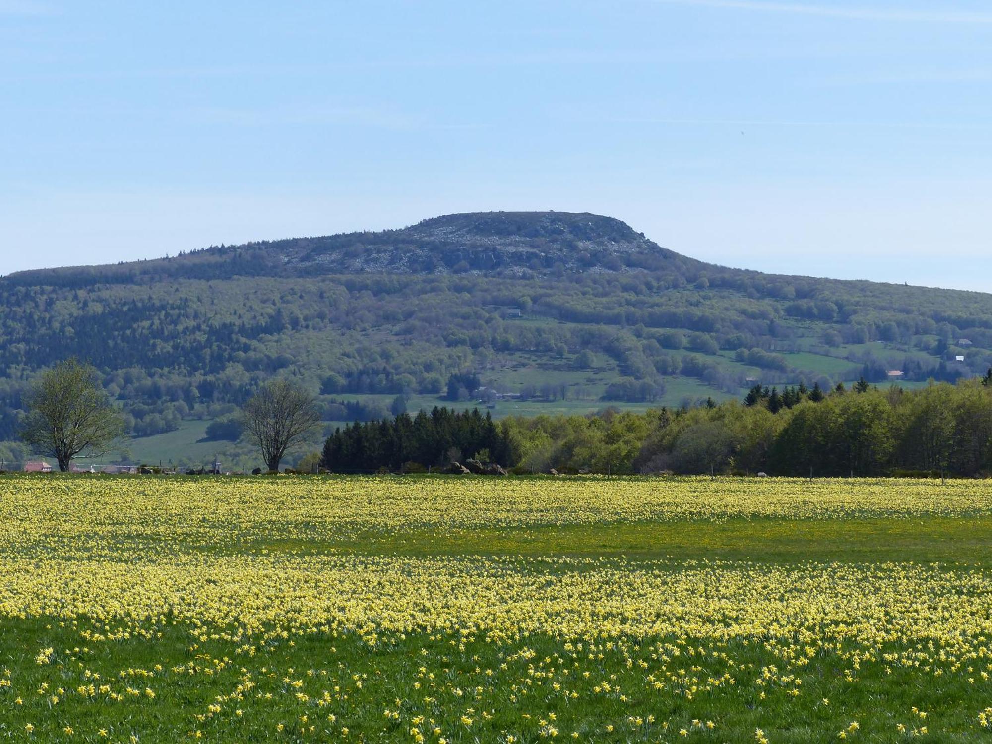 Terres De France - Le Domaine Des Vans Chambonas Екстер'єр фото