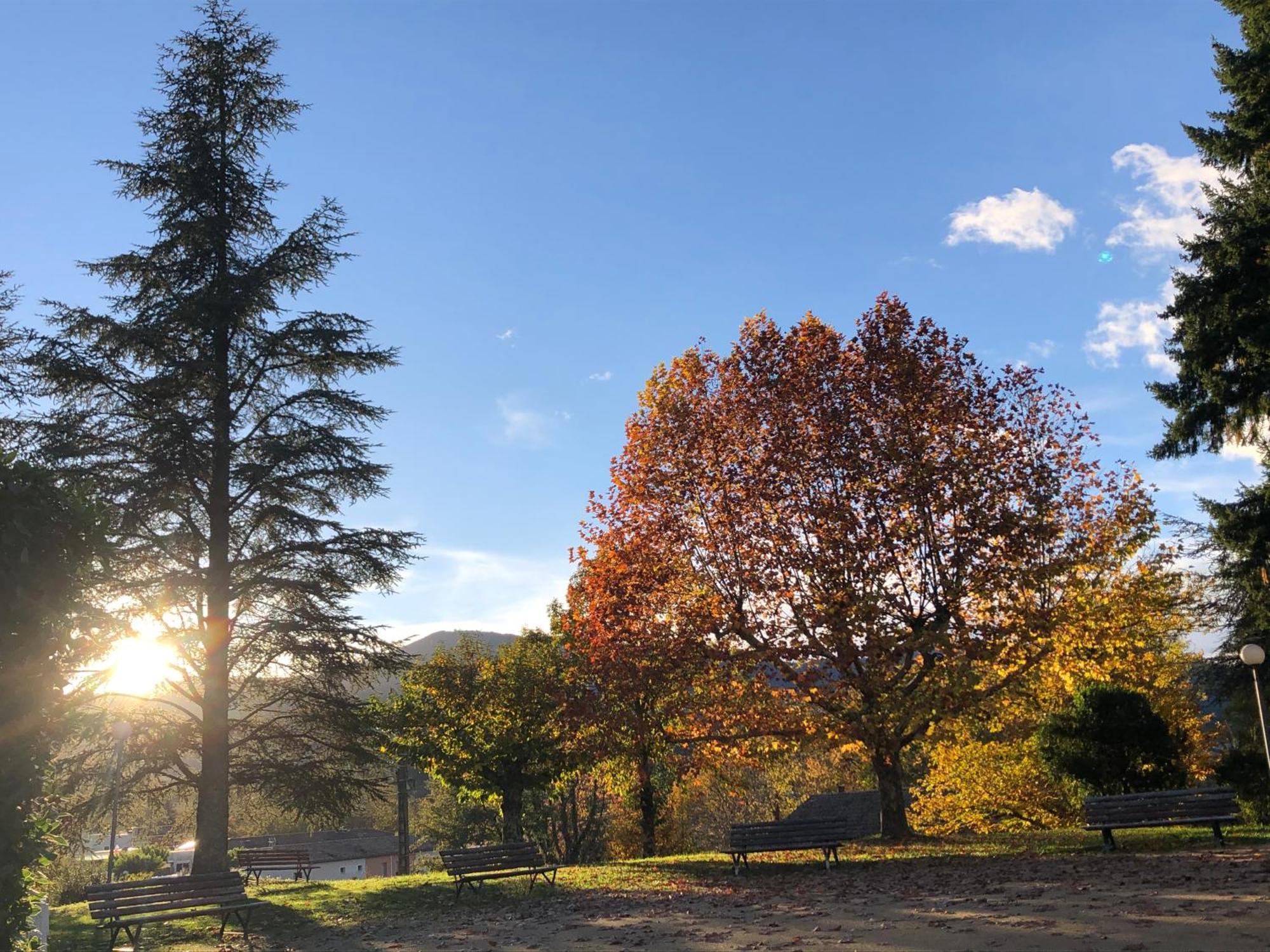 Terres De France - Le Domaine Des Vans Chambonas Екстер'єр фото