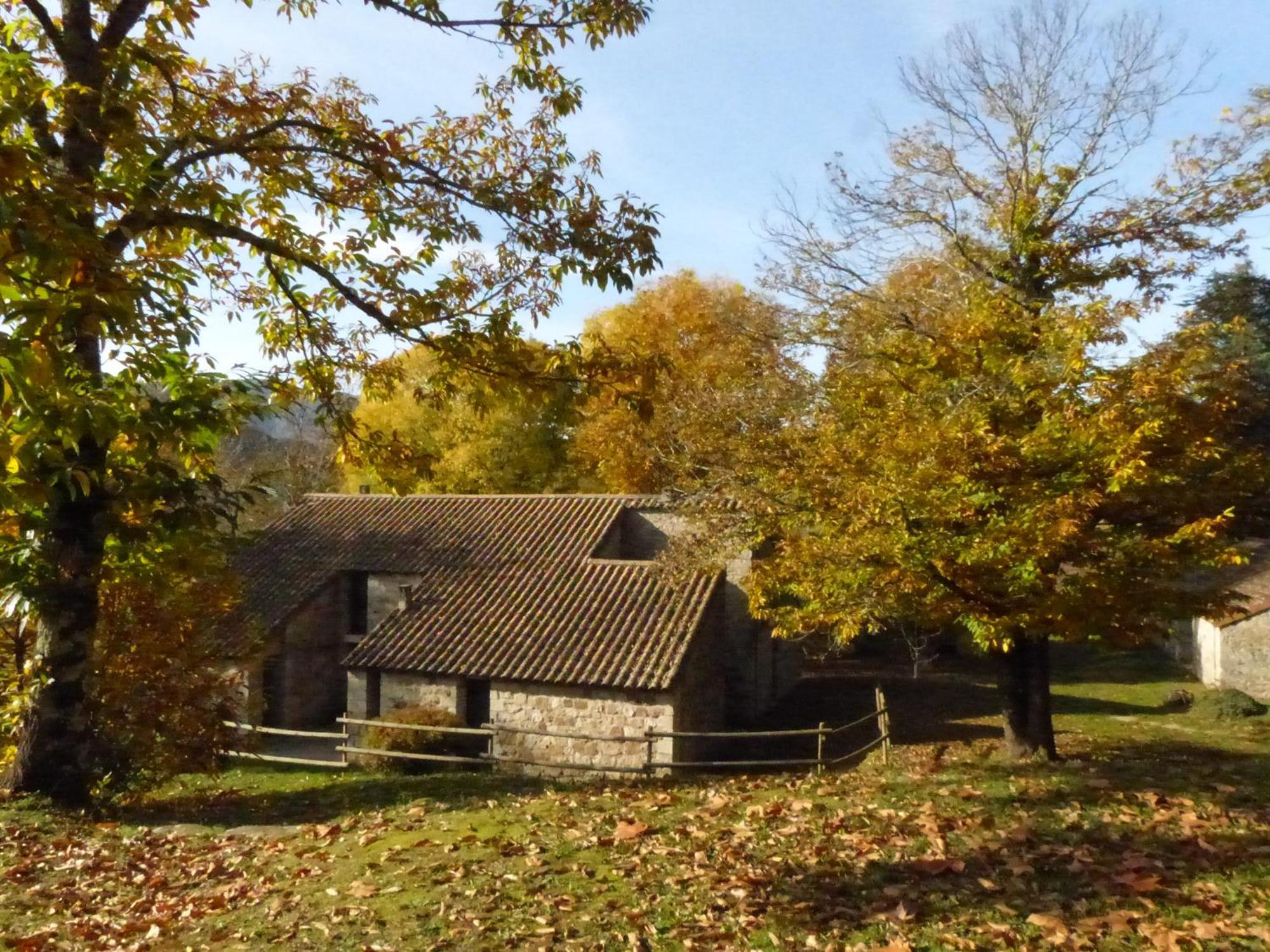 Terres De France - Le Domaine Des Vans Chambonas Екстер'єр фото