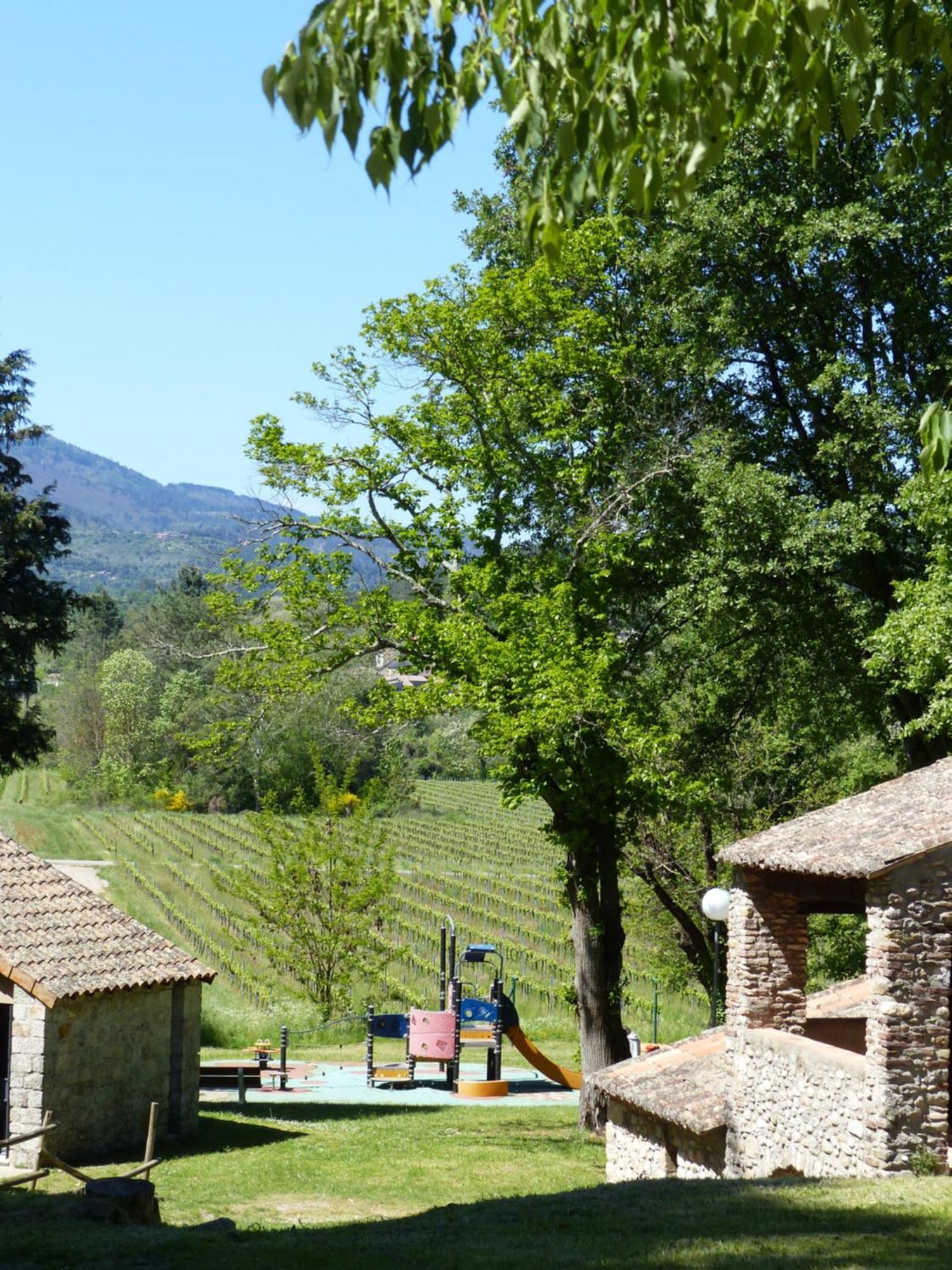 Terres De France - Le Domaine Des Vans Chambonas Екстер'єр фото
